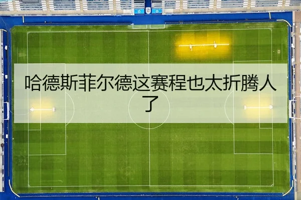ha-de-si-fei-er-de-zhe-sai-cheng-ye-tai-zhe-teng-ren-le-2-973.jpg