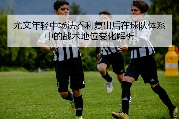 尤文年轻中场法乔利复出后在球队体系中的战术地位变化解析（kaiyun）