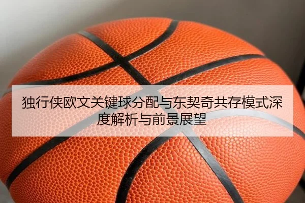 独行侠欧文关键球分配与东契奇共存模式深度解析与前景展望